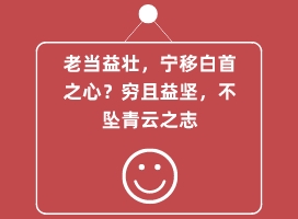 软件二次开发